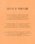 Quintaessenza Breeze Profumatore Auto (Soffio di Pompelmo)