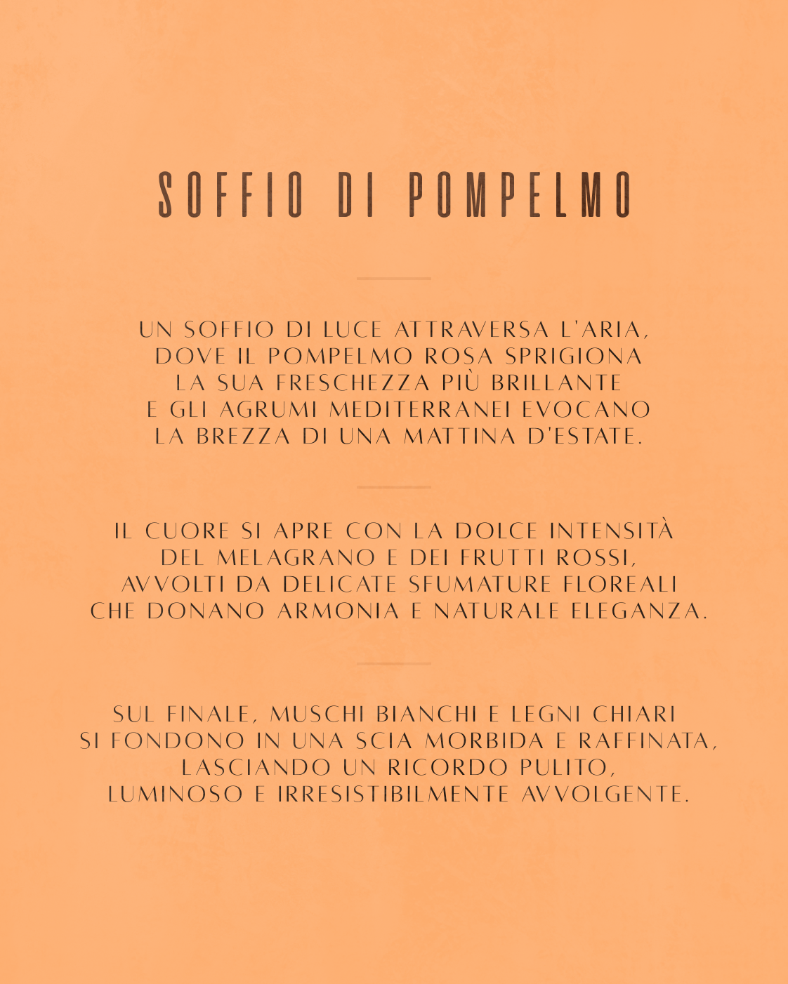 Quintaessenza Breeze Profumatore Auto (Soffio di Pompelmo)